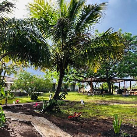 هانجا روا Hare Pakoba Guest House المظهر الخارجي الصورة