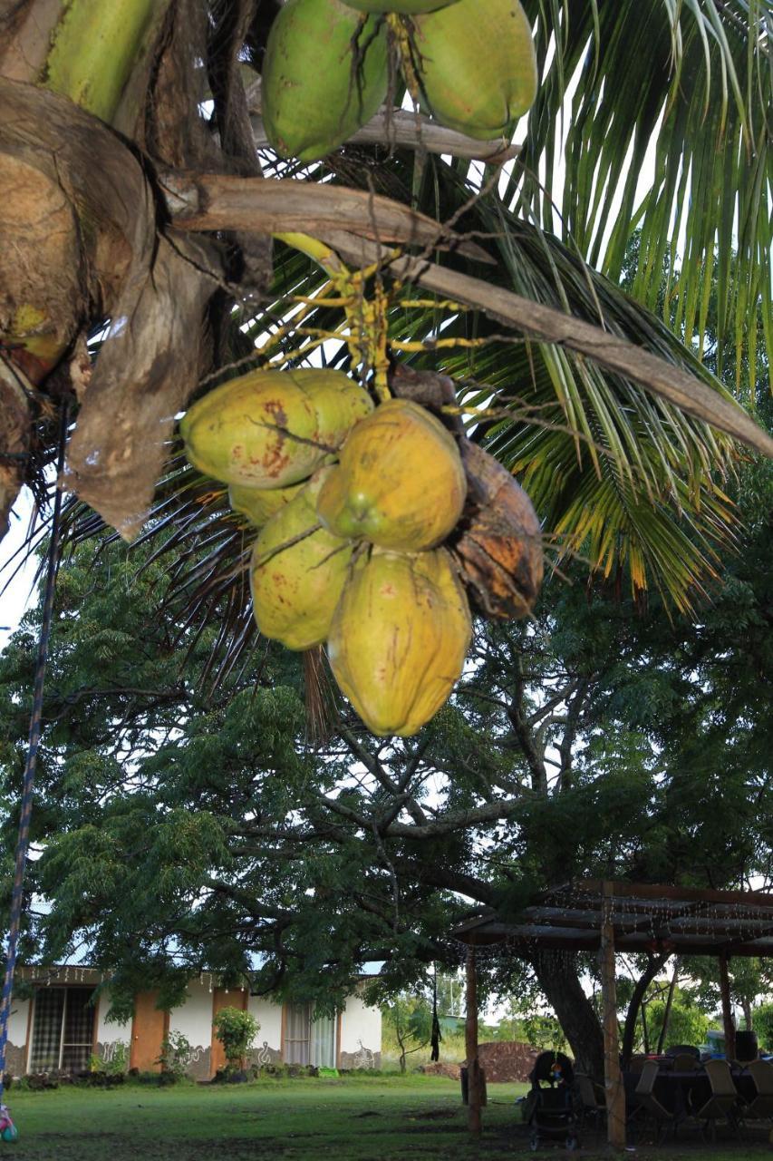 هانجا روا Hare Pakoba Guest House المظهر الخارجي الصورة